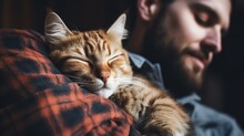 The Comfort Of A Cat Napping On Its Owner's Chest, Feeling Safe
