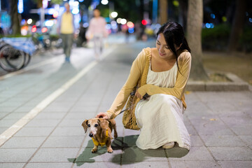 Wall Mural - Woman go for a walk with her dog at night