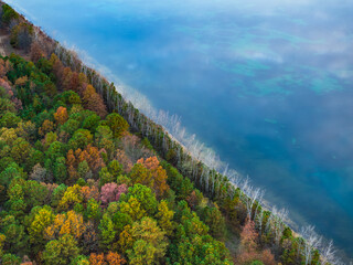 Wall Mural - Fall colored trees along the water