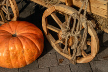 Ripe Pumpkin Next To A Cart Wheel. Wooden Cart Wheel And Orange Pumpkin. A Large Pumpkin Fell From A Wooden Cart, Side View.