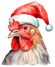 Cute Christmas Rooster Head In Red Santa Hat Isolated On White Background. Winter Farm Chicken Watercolor Illustration.