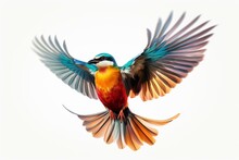 A Flying Bird Isolated Against A Transparent Background. Generative AI