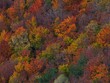 Top view of colorful trees in the forest during autumn, Peilstein, Austria background and texture