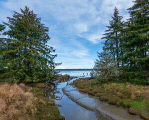 Slough along Grays Harbor Aberdeen Washington