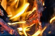 fire in fireplace, photo picture digital image