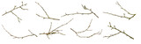Fototapeta  - dry twigs on white isolated background