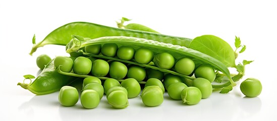 Wall Mural - Isolated on a white background you can see fresh peas that are green accompanied by their leafy greens