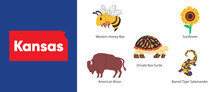 Kansas States With Symbol Icon Of Sunflower American Bison Ornate Box Turtle Barred Tiger Salamander Honey Bee Illustration