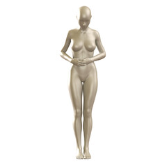 Wall Mural - 3d human figure Mannequin with a body 3D Render isolated illustration