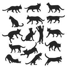 Cat Silhouette, Miuw Cat Vector Illustration

