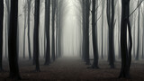 Fototapeta Natura - landscape mystical white fog in the autumn depressive forest, sadness loneliness mood