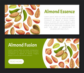 Poster - Almond Nut Banner Design with Shell and Kernel Vector Template