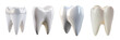 Set of elegant and shiny tooth isolated on a transparent or white background