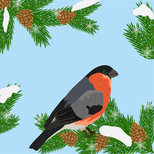 Greeting Card. Bullfinch Bird With A Red Breast On A Green Spruce Branch With Brown Cones. Snow And Snowflakes On A Blue Background. Christmas Background With Place For Text. Vector Illustration.