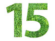 The shape of the number 15 is made of green grass isolated on transparent background. Go green concept.