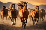 Fototapeta Konie - Group of horses running gallop. Mustangs in the desert.