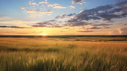 nature field scene grass landscape illustration horizon green, view morning, outdoor countryside nature field scene grass landscape