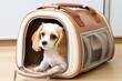 Cute small dog sitting in a travel pet carrier. AI generative