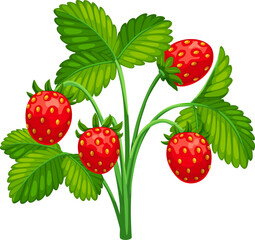 Wall Mural - Cartoon strawberry, isolated vector garden or wild plant, adorned with vibrant red berries and lush healthy green leaves, a delightful symbol of nature bounty and freshness. Summer food, sweet dessert