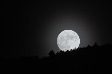 full moon rising above horizon. distant tree line along slope of the bill is seen. bright white moon