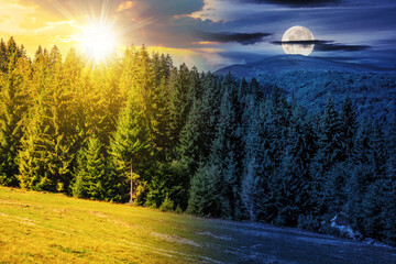 Wall Mural - summer mountain landscape with sun and moon at twilight. spruce forest on the hillside. day and nigh