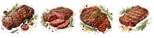 Grilled steak with rosemary and spices  Hyperrealistic Highly Detailed Isolated On Transparent Background Png File