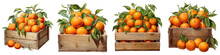 Mandarins In Wooden Box  Hyperrealistic Highly Detailed Isolated On Transparent Background Png File