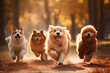 A Vibrant Wallpaper of a Joyful Group of Dogs Frolicking in the Park, High Quality Wallpaper