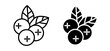 Blueberry line icon set. Cranberry symbol. Huckleberry for UI designs. In black color.