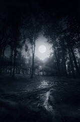 Wall Mural - dark night in mysterious forest with full moon