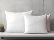© PSCL RDL - Blank white square cotton pillows on couch in modern living room, mockup.. Generative AI