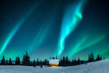 Wall Mural - a cabin nestled amidst snow-covered fir trees on a mountain clearing in the winter. aurora borealis.
