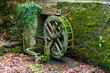 Mill water wheel and dried pond with moss
