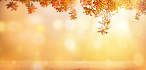 Wall Mural - autumn fallen leaves landscape with yellow trees and sun