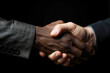 Business handshake of black and white men