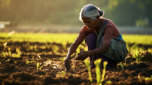 Indian Woman Farmer Working In The Field