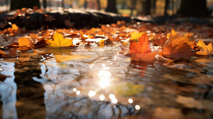 Canvas Print - yellow autumn leaves in a puddle of water after rain. ai generative