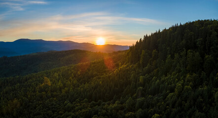 Canvas Print - Aerial view of amazing scenery with dark mountain hills covered with forest pine trees at autumn sunrise. Beautiful wild woodland at dawn