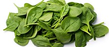 In The Spring Baby Spinach Leaves Add A Vibrant Burst Of Green To Any Dish Be It A Refreshing Salad Or A Nutritious Pasta Giving It A Healthy Diet Friendly Spin Whether Used As A Background