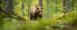 ursus arctos , brown bears, generative ai