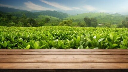 Aufkleber - Empty wooden table or wooden desk with tea plantation nature background with green leaves as frame Product display natural background concept