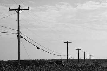 Telephone poles against sky with clouds