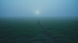 Fototapeta  - Person walking in the dark and misty green field towards a glowing ball of light. Foggy summer landscape in twilight.