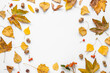 Frame made of autumn leaves with acorns and viburnum berries on white background