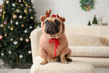 Wall Mural - Cute dog in reindeer costume at home on Christmas eve