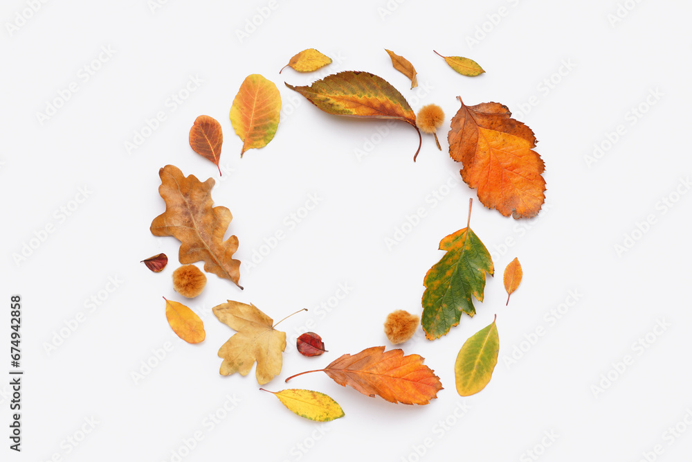Circle made of autumn leaves on white background
