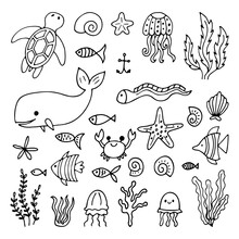 Set Of Sea Animals In Hand Drawn Style. Ocean Life. Underwater, Under The Sea, Marine