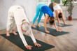 European sport women who take care of their physical health and do yoga in a fitness studio practice the dog pose face down .during a group workout