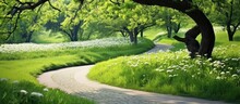 The Background Texture Of The Vibrant Green Landscape With A Road Winding Through It Is Complemented By The Repetitive Pattern Of Blooming Flowers Lush Grass And Leaves In The Spring Garden 