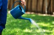 Man watering grass from a watering can in garden,